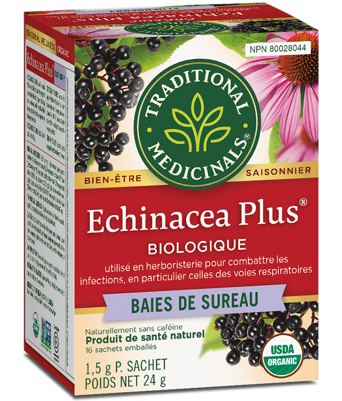 Tisane Echinacea plus bio - baies de sureau